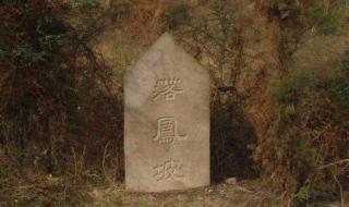 三国中,刘备军师庞统死的那一战是什么 庞统是怎么死的